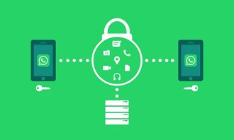 米兰体育赛事-体育新闻采编流程中的内容安全机制构建，体育新闻报道要求